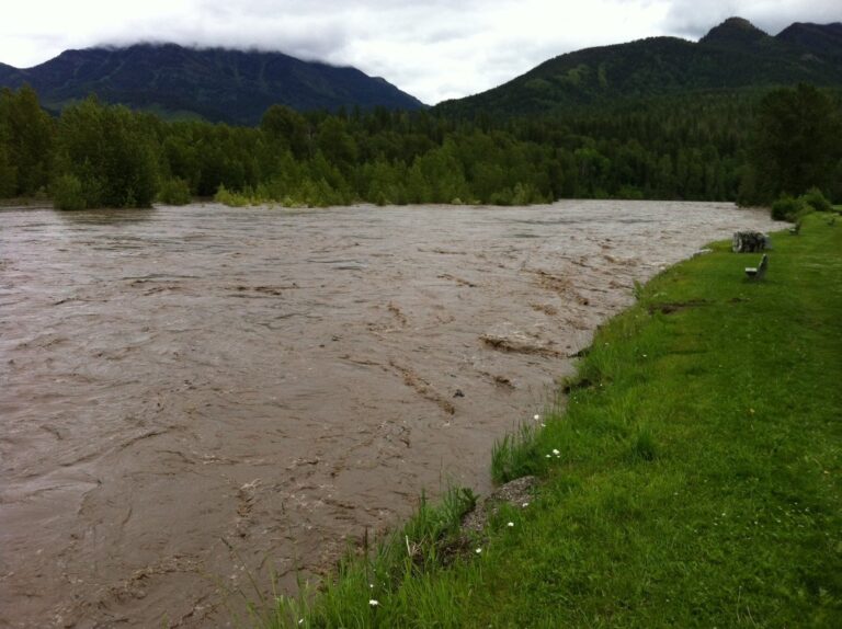 Teck Coal given record-breaking $60M fine for contaminating BC rivers