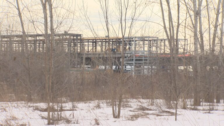 Save Fairview Forest movement gains support with online petition