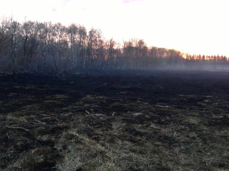 Winnipeg Fire Paramedic Service cautions people about wildland fires during dry spring