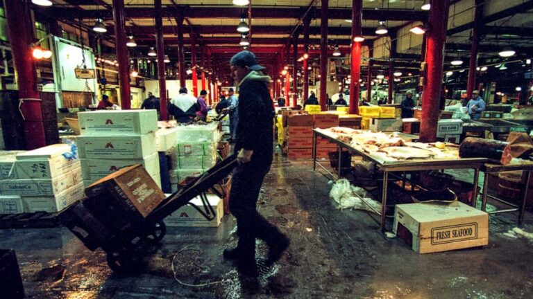 Teen’s body found wrapped in plastic at fish market warehouse