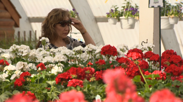 Winnipeg garden centres brace for busy spring as restrictions loosen