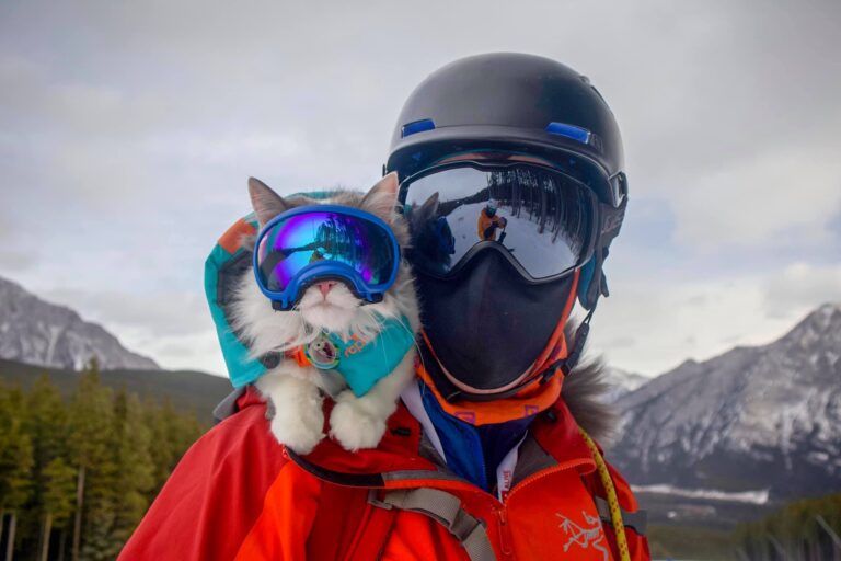 ‘A great little adventure buddy’: Canmore’s ‘Gary the Cat’ skis, hikes and paddles with owner