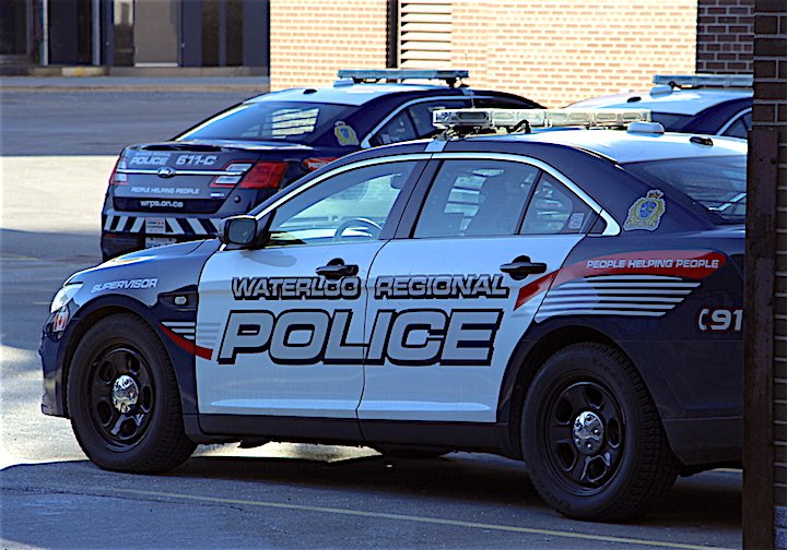 Police seize dog, charge Waterloo man after alleged animal abuse