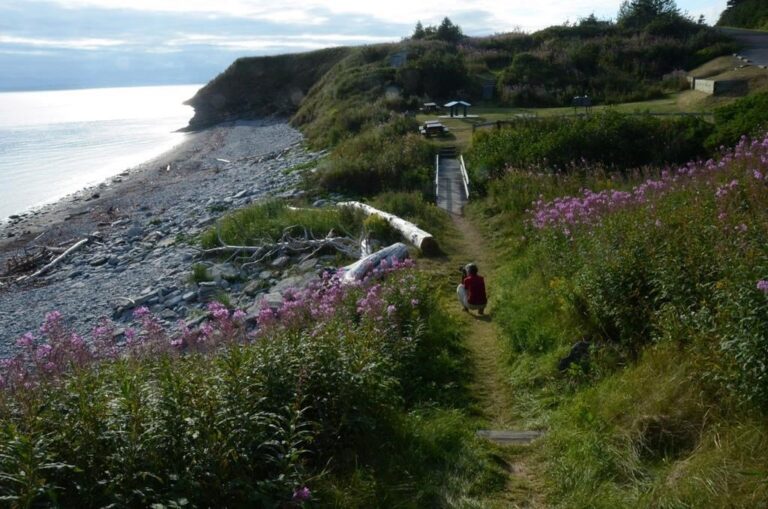 Gaspé launches public consultations on how to protect local beaches