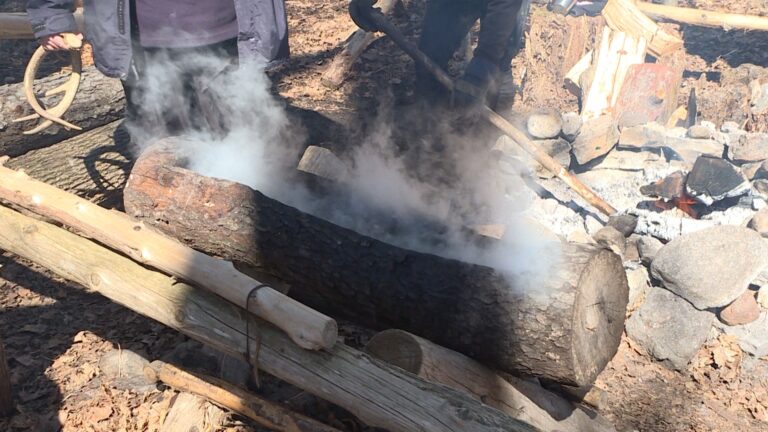Coronavirus: Kingston’s Maple Madness to go ahead with limited programming