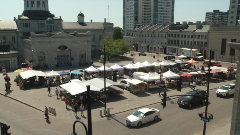 Kingston city council to consider food market reform to support local producers