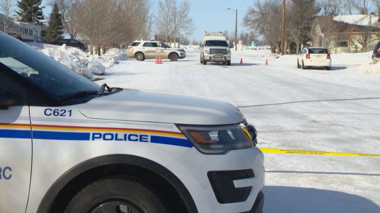 Woman charged in Milden, Sask., manslaughter appears in court