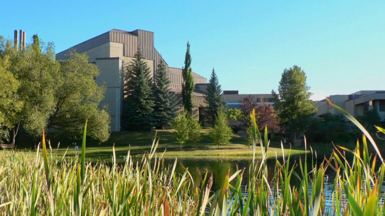 Calgary post-secondary students excited about possible return to campus in September