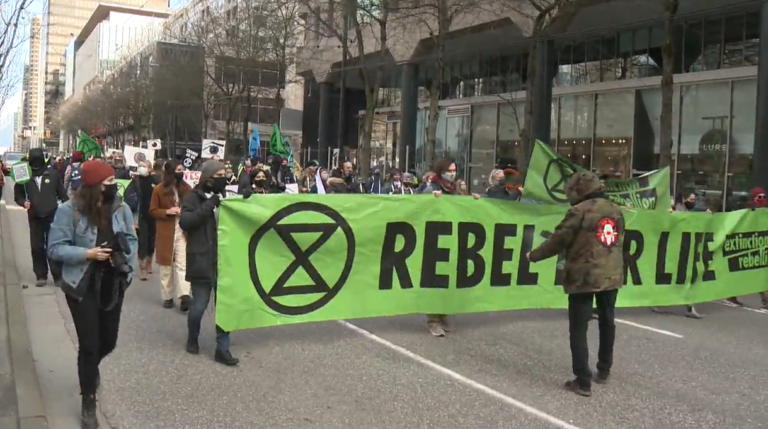 Activists plan to blockade Cambie Bridge Saturday to oppose B.C. old-growth logging