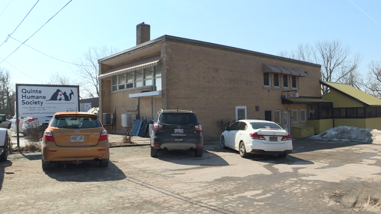 Quinte West council approves loan for new Quinte Humane Society build
