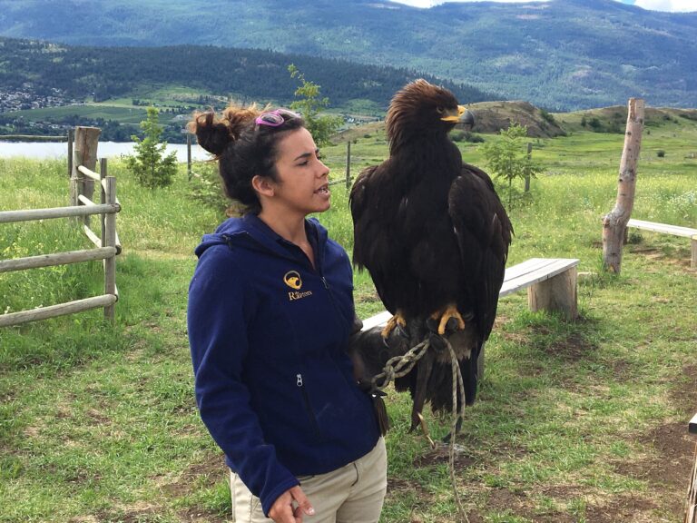 Non-profit organization in Okanagan seeking nature-loving volunteers