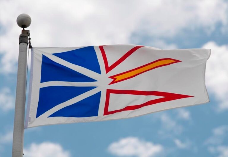 Newfoundland and Labrador’s wild election could still wind up in court: lawyer
