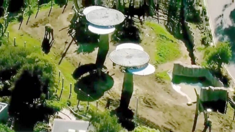 Father arrested after allegedly carrying 2-year-old into zoo elephant exhibit