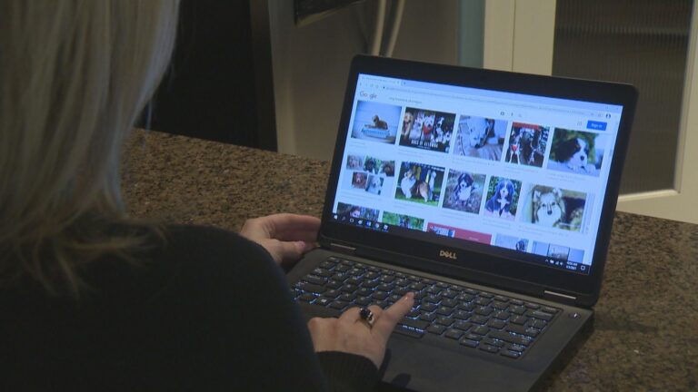 Pet scams among the most prevalent in the Okanagan in 2020