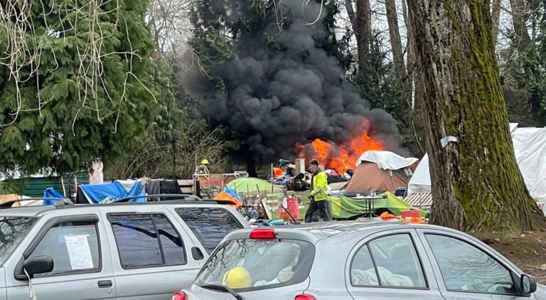 ‘Huge’ fire breaks out in Vancouver’s Strathcona Park