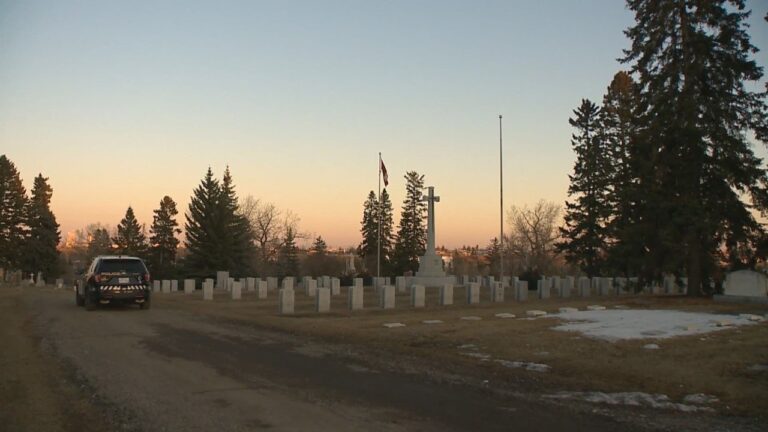 Calgary police investigating Confederate flag flying in Reader Rock Garden