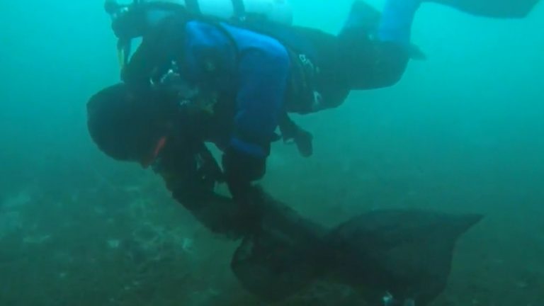 16-year-old Toronto diver cleans up water at Humber Bay Park on weekends