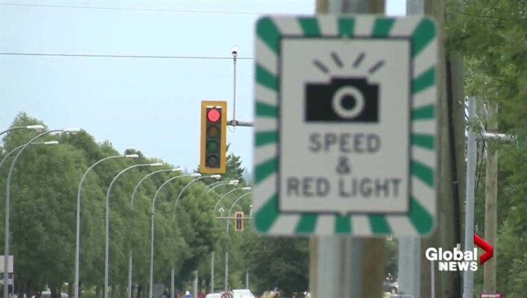 ‘The law doesn’t even require the supervisor to be sober’: Critics say ‘L’ co-pilots must be accountable