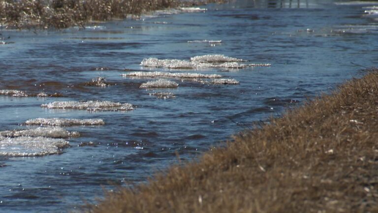 Flood watch issued for section of Trent-Severn Waterway in Otonabee Region watershed