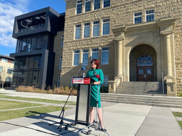 Field of candidates for Calgary mayor grows to 14 with addition of Jan Damery Field of candidates for Calgary mayor grows to 14 with addition of Jan Damery