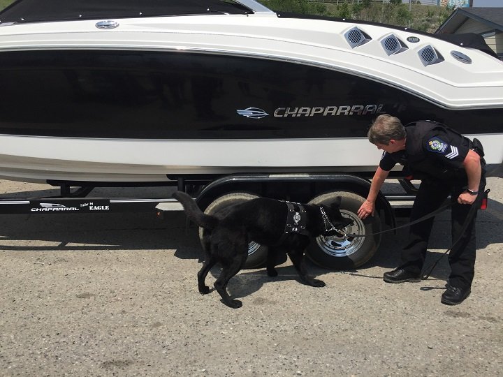 Invasive Mussels: B.C. Reopens Annual Boat Inspection Stations | The ...