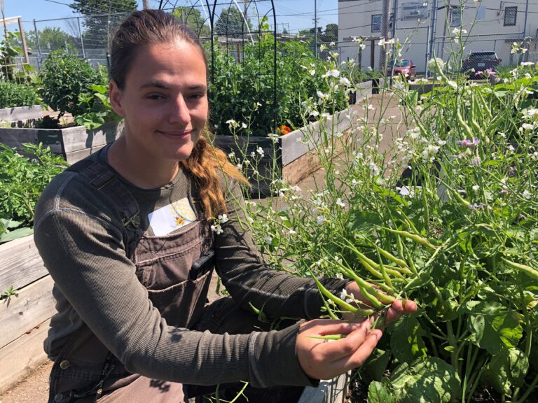 Gardeners learn how to sow seeds for the future at community garden in Moncton