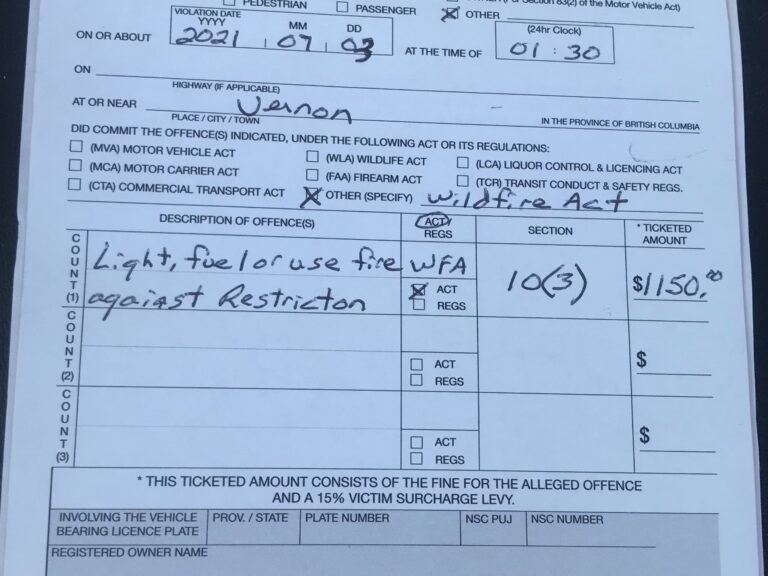 North Okanagan conservation officers issue two $1,150 fines for violating B.C.’s campfire ban