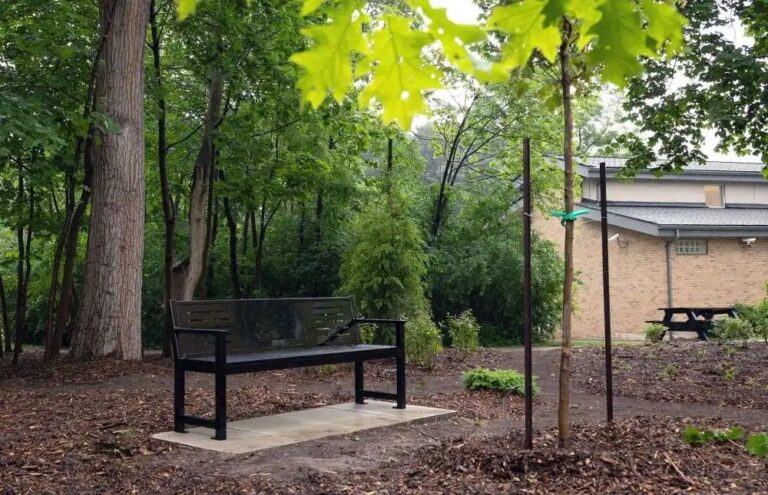 University of Guelph’s ‘One Bench One Tree’ project honours health-care workers