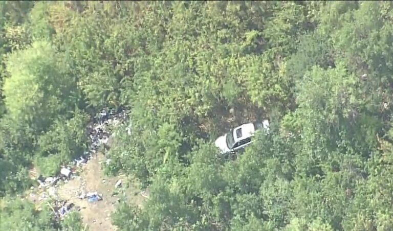 Man rescued after car veers off road into the North Saskatchewan River valley