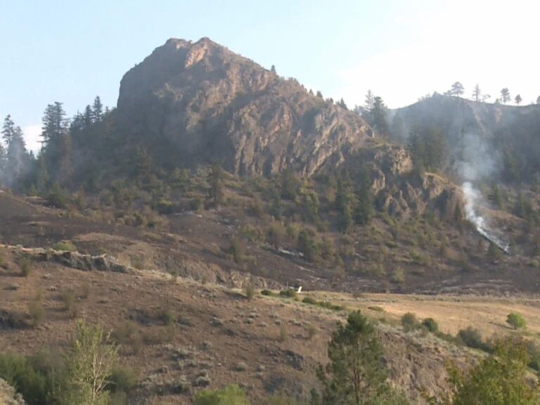 Wildfire in Coldstream being held, says BC Wildfire Service