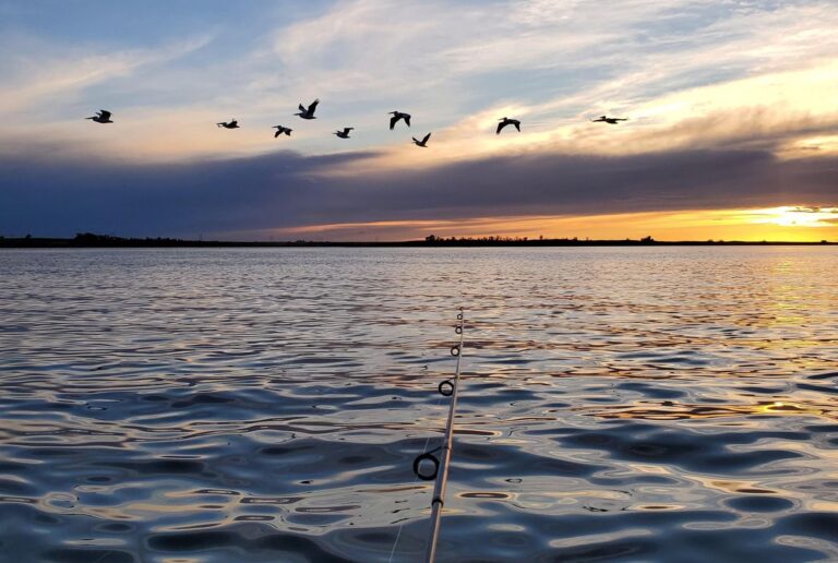 Annual summer ‘free fishing weekend’ July 10-11 in Saskatchewan