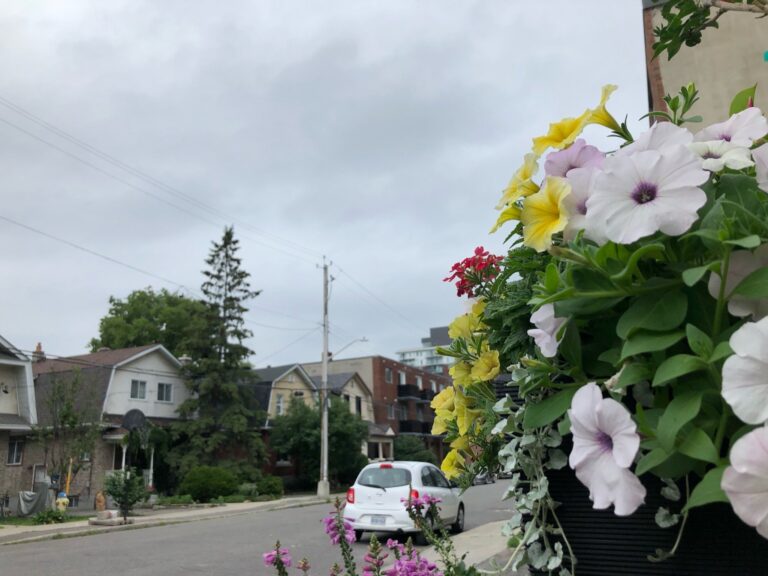 Severe thunderstorm watch issued for Ottawa, eastern Ontario