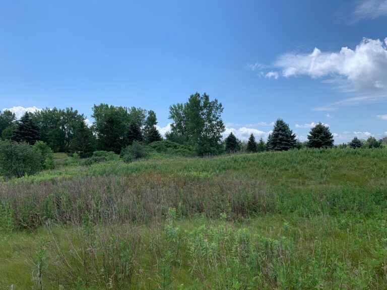 Concerns grow over proposed mask factory in Dorval green space
