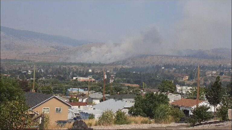 Home damaged, people flee fast-moving brush fire near Oliver, B.C.