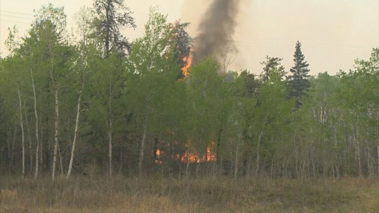 Saskatchewan extends fire ban as crews deal with 3 wildfires of concern