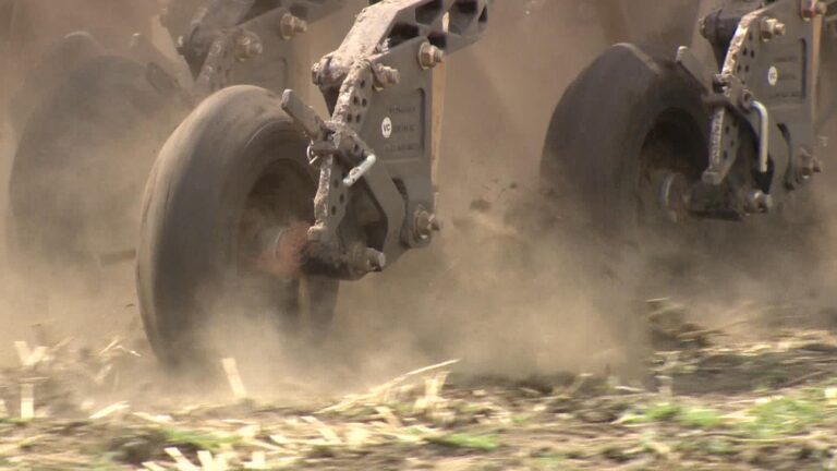 ‘Irreparable crop damage’ without significant rainfall: Saskatchewan Agriculture