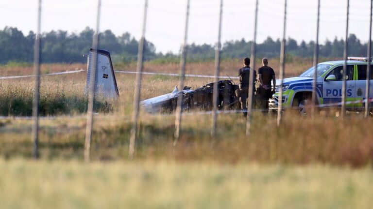 9 killed when skydiving plane crashes in Sweden