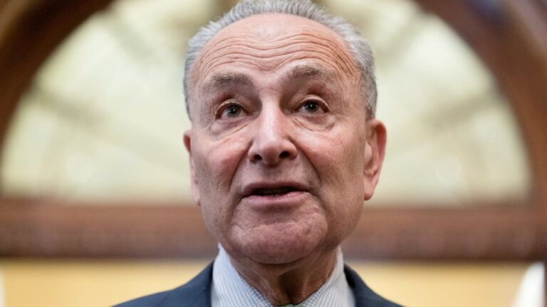 Schumer wants Senate votes soon on Biden’s domestic agenda