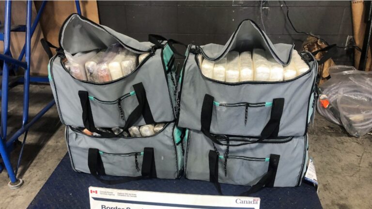 Quebec man makes court appearance after $14M in drugs seized at Fort Erie border: police