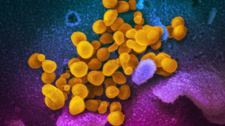 COVID-19: MLHU reports 8 cases, 2 deaths on Tuesday