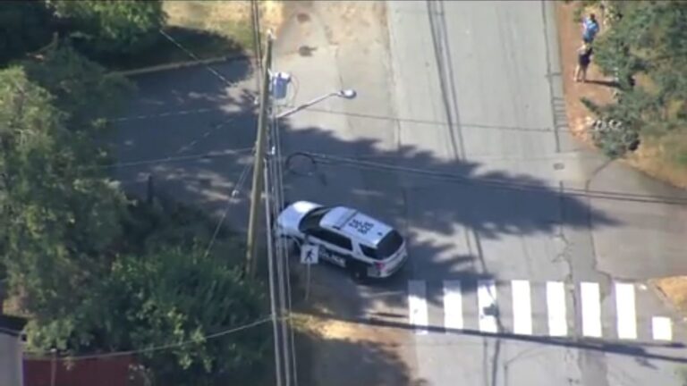 Suspect in custody following double stabbing at Gunderson Park in North Delta