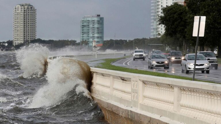 Elsa to charge up East Coast after Florida landfall: Latest path