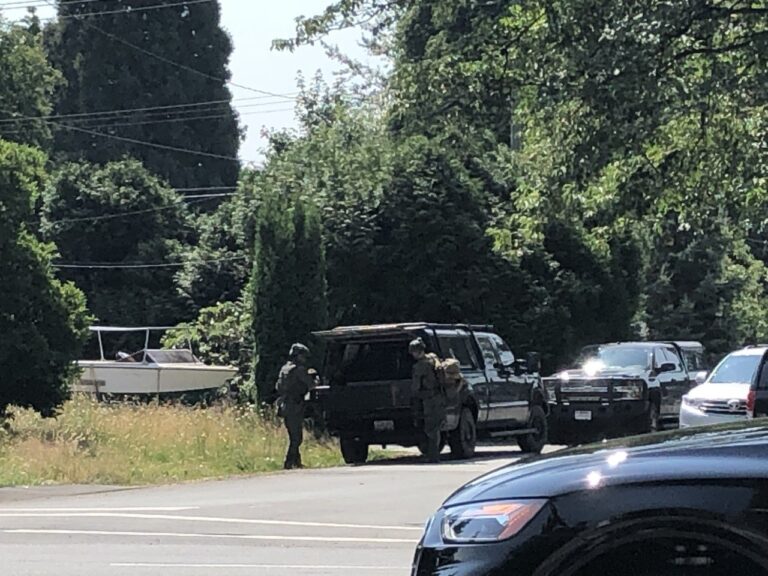 Large police presence in Maple Ridge after firearms report