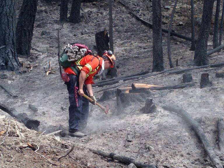 Fire along train tracks in B.C.’s East Kootenay region prompts evacuation