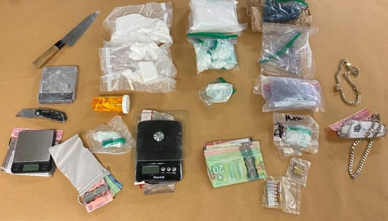 London, Ont. police say 2 men facing charges, over $230K in drugs seized