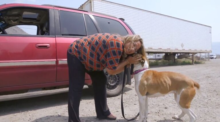 The Lytton, B.C. wildfire separated dog and owner. Social media helped reunite them