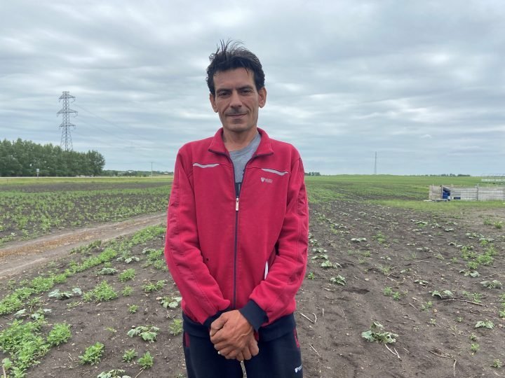 Syrian immigrant farmer devastated by crop vandalism, garbage at farm northeast of Calgary