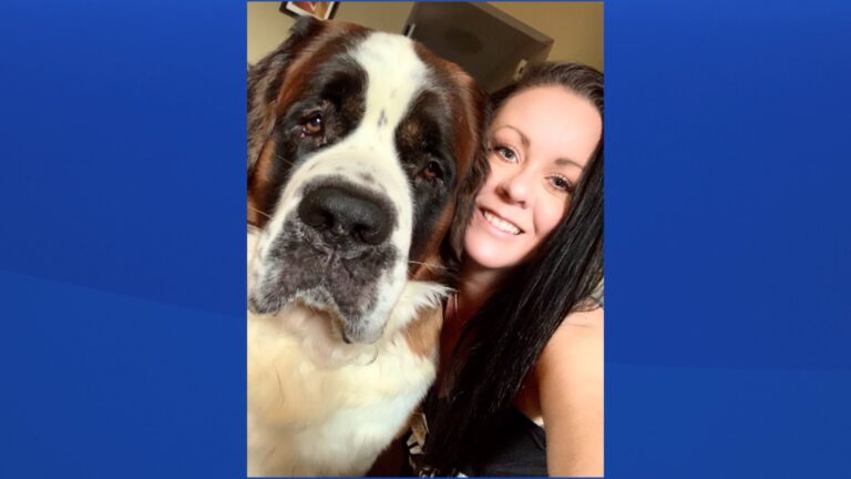 Search for dog missing from Harrowsmith, Ont. nears 100-day mark