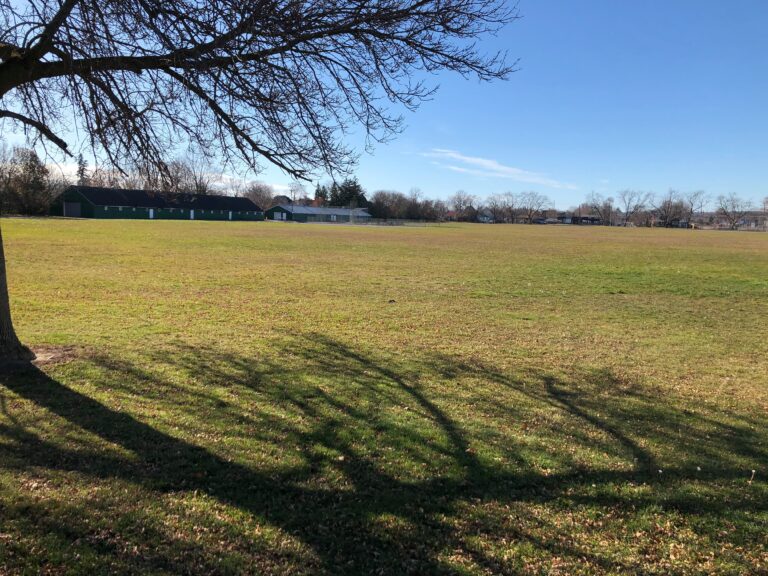 City council endorses $62M twin-pad arena project for Morrow Park in Peterborough