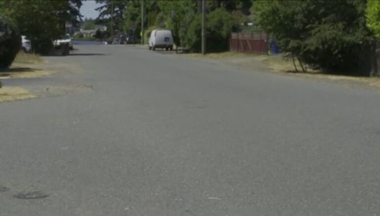 Disturbing attack sees Nanaimo, B.C. homeless man deliberately run over, pepper-sprayed